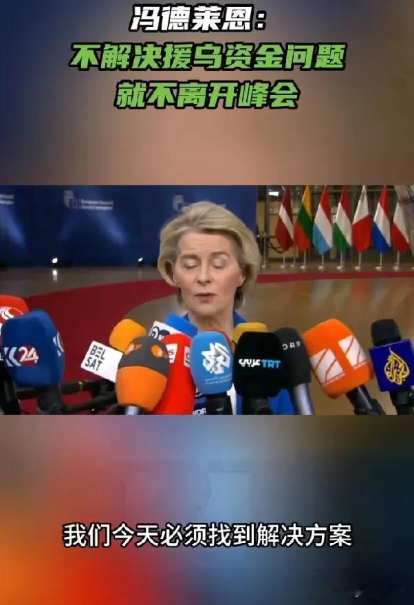 冯德莱恩：不解决乌克兰未来两年战争资金问题就不离开会场。泽连斯基：安全保障需要美