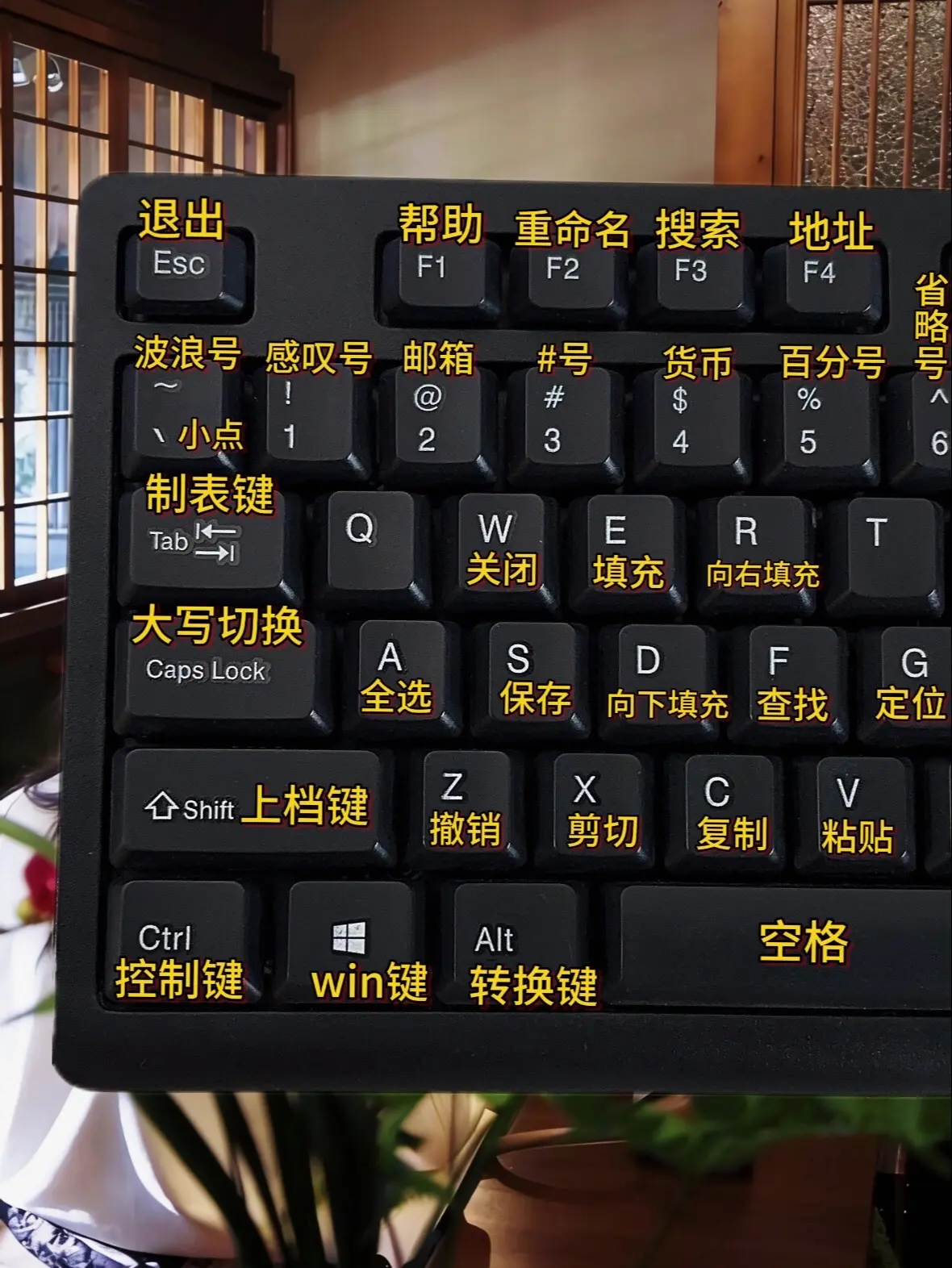 零基础学电脑从认识基础键盘开始。