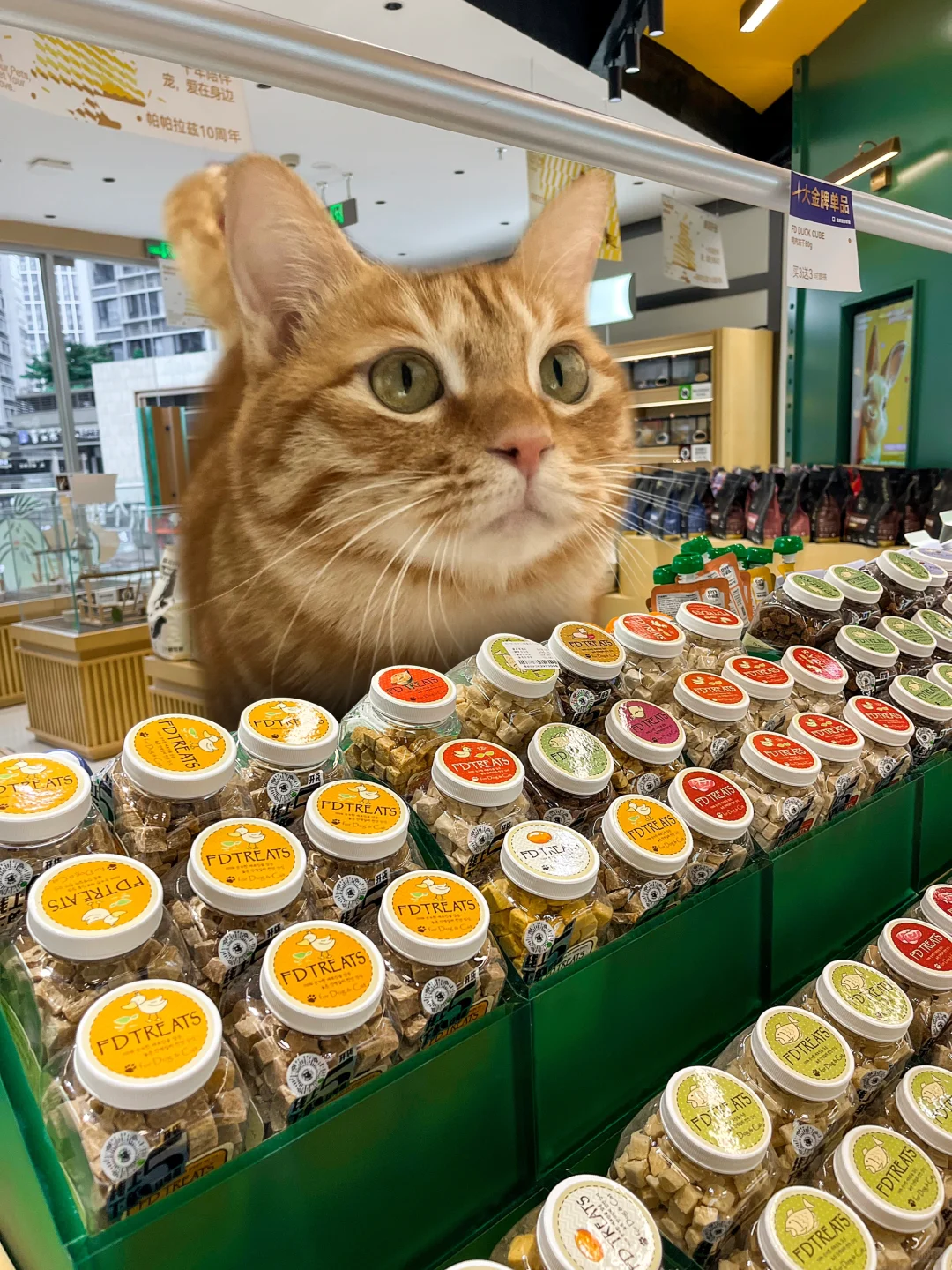 职场风云之我在帕帕拉兹当店长