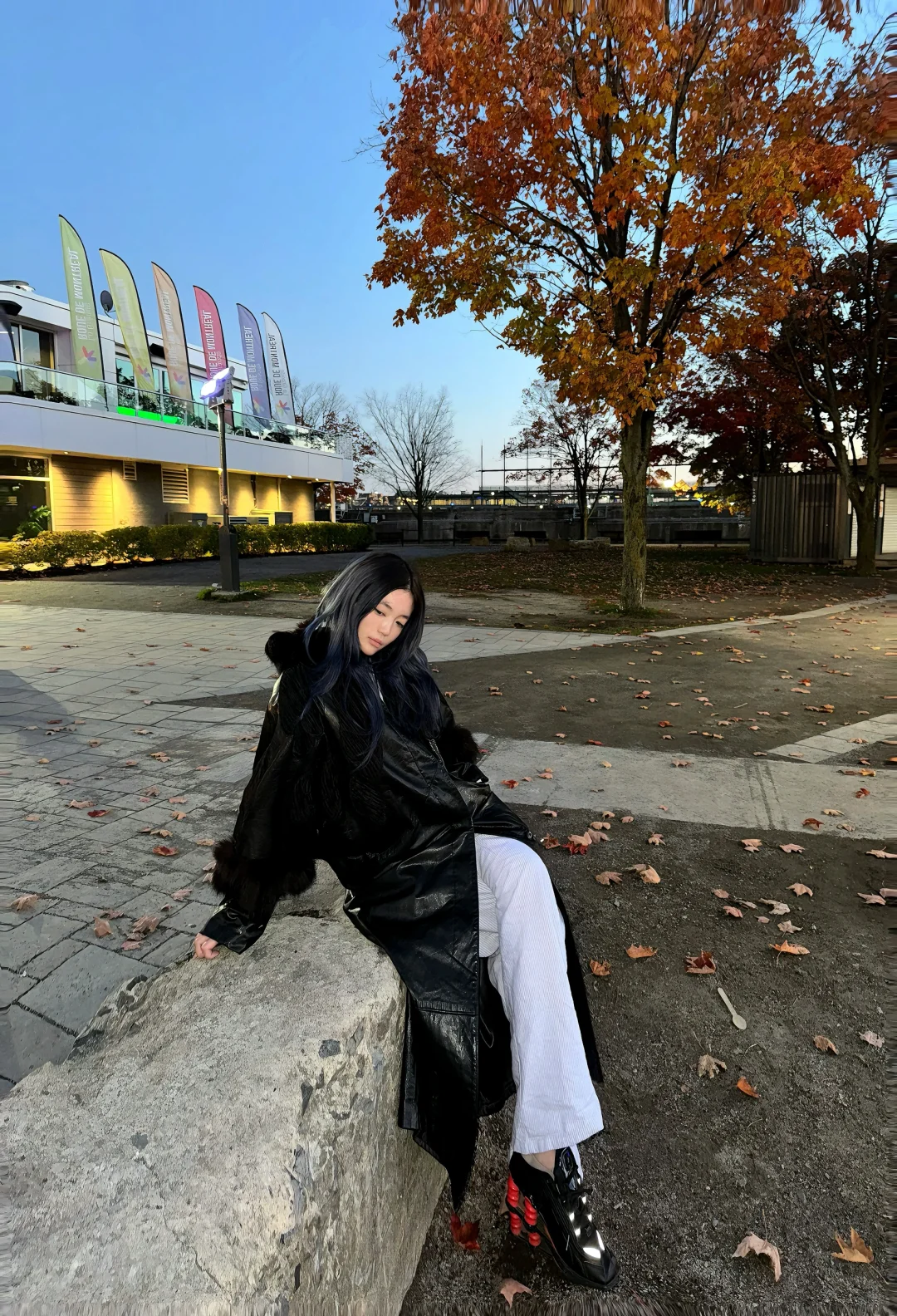 🍁