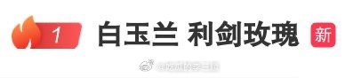 白玉兰 利剑玫瑰gc好多人都在说迪丽热巴利剑玫瑰值得 