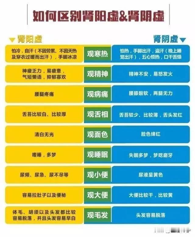 如何区别肾阳虚与肾阴虚

在中医理论中，肾脏被誉为“先天之本”，它的健康状况直接