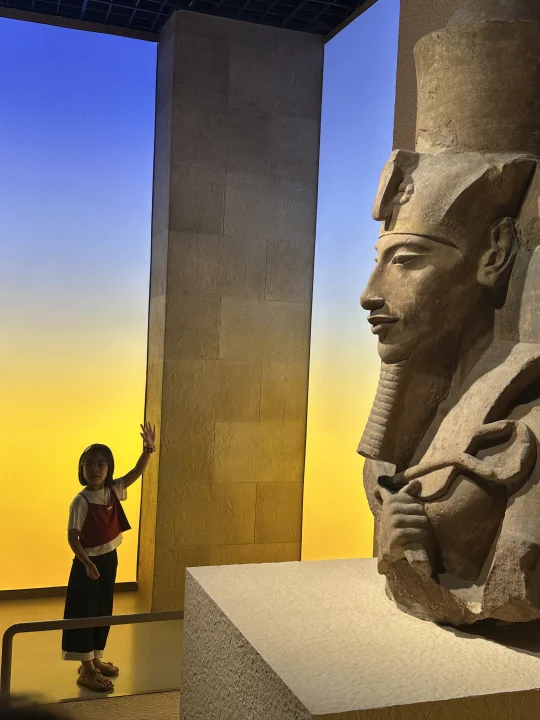 ⚠️再不去上博！法老就要回埃及啦！