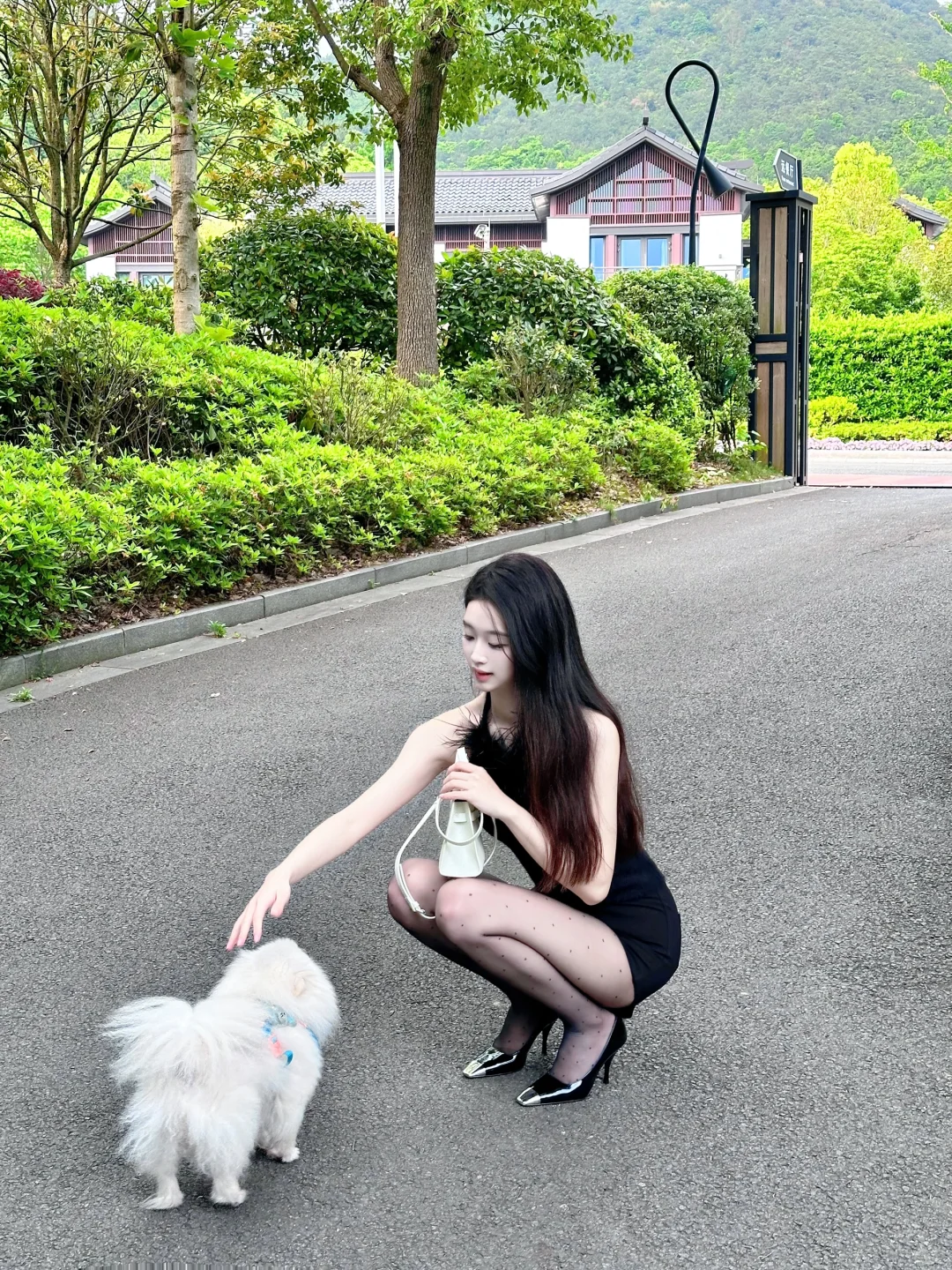 修狗和我