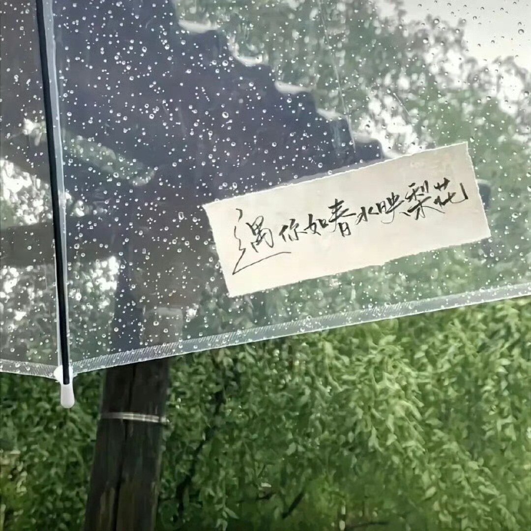 高级感小众朋友圈背景图 ​​​