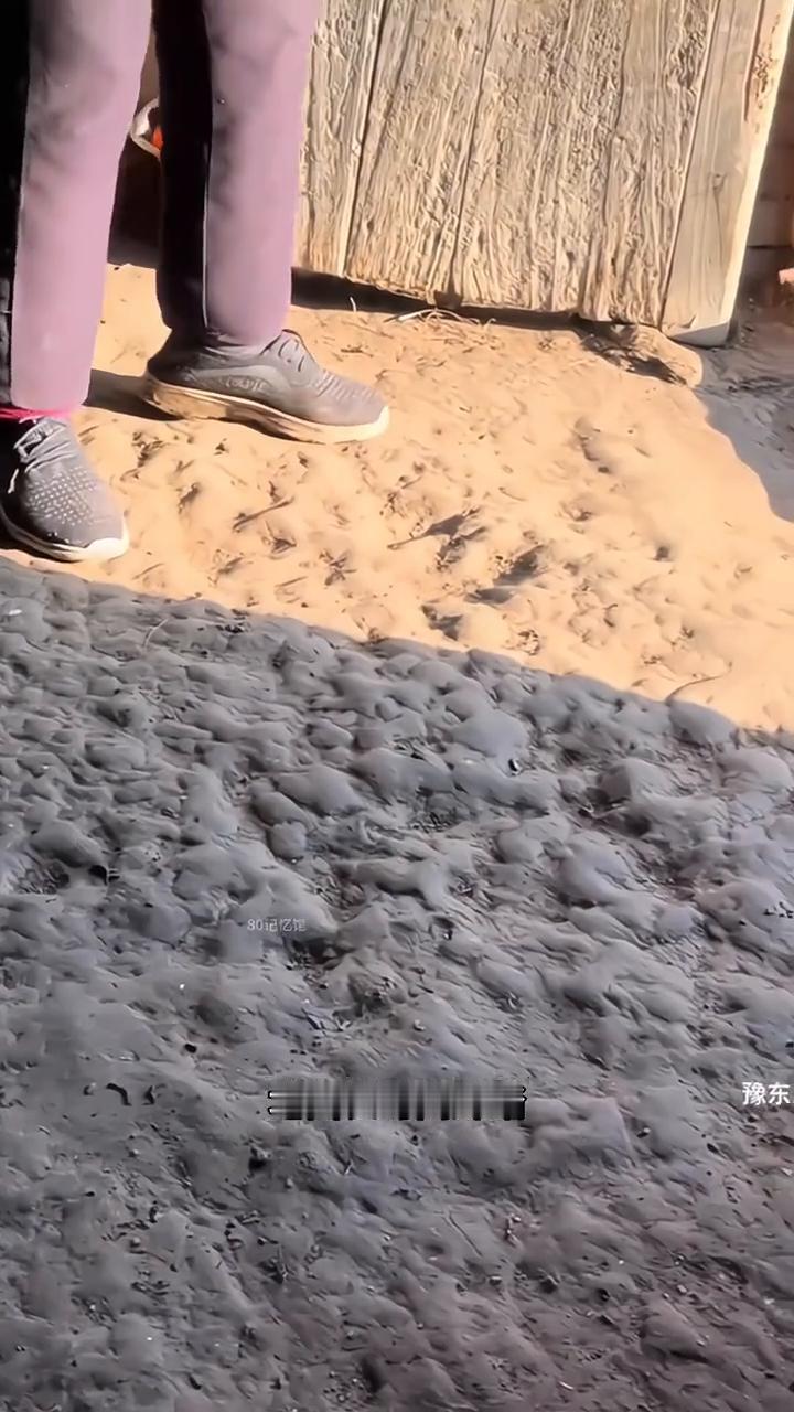 小时候地面。
豫东。
小时候这种凹凸不平的地面是多少人的童年回忆？在七八十年代住