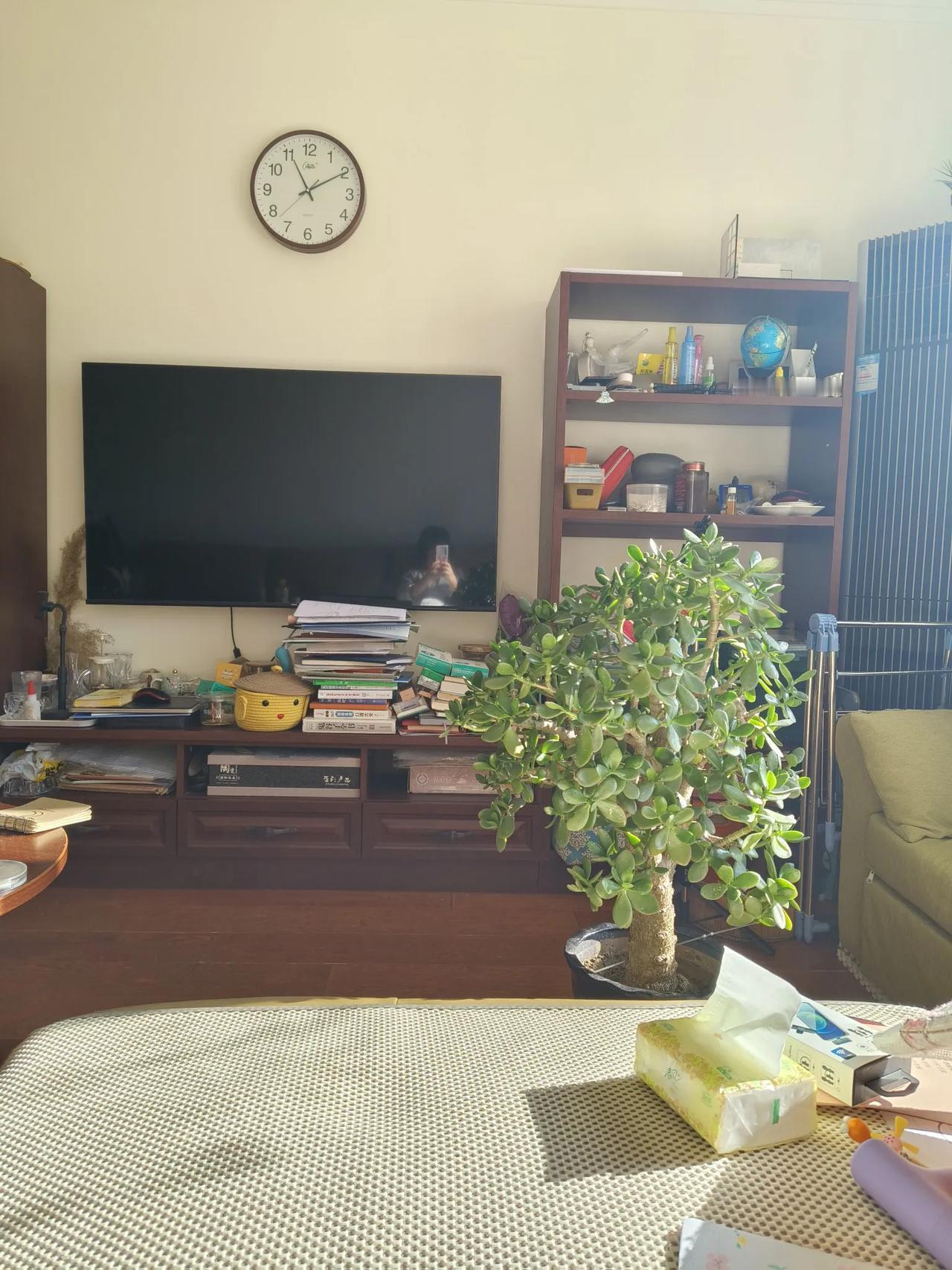 周末能干什么呢？洗个澡，晒个太阳，读本书，惬意的时光，身边有家人，没有比它更宝贵