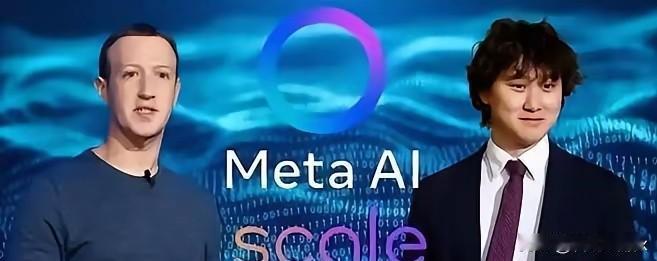 炸锅了！20亿美元AI天价收购被国家直接叫停！中国AI技术想换壳卖给美国巨头，这