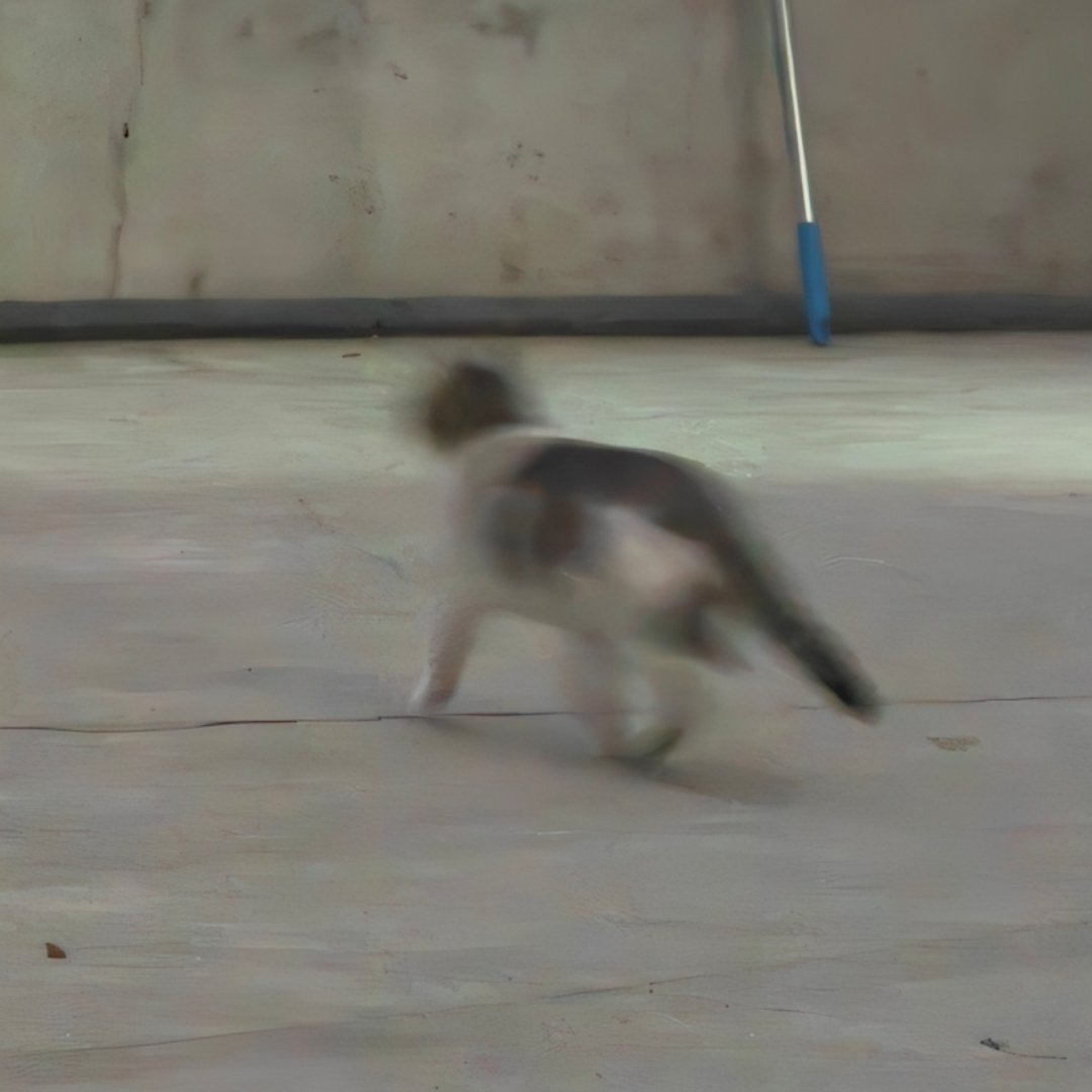 1加油还是得大品牌，图便宜就会牺牲体验，我甚至想试试98号细糠2早上这一路看到两