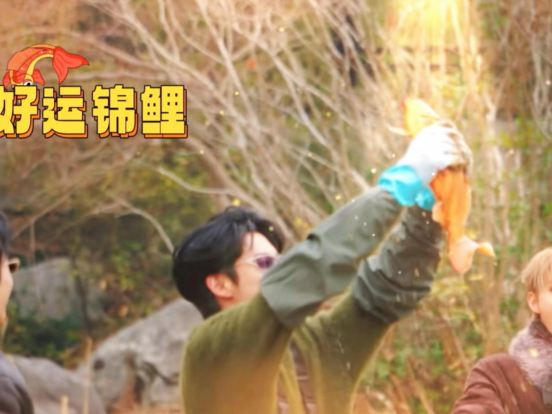 接王鹤棣好运🙏 