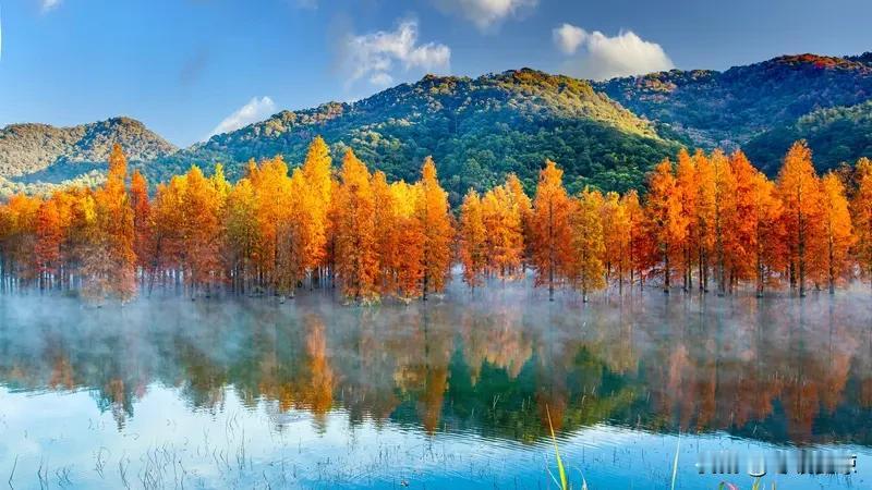 北方多地要火速入冬了，这天气变化也太猛了。10月17日凌晨，冷空气前锋15个小时