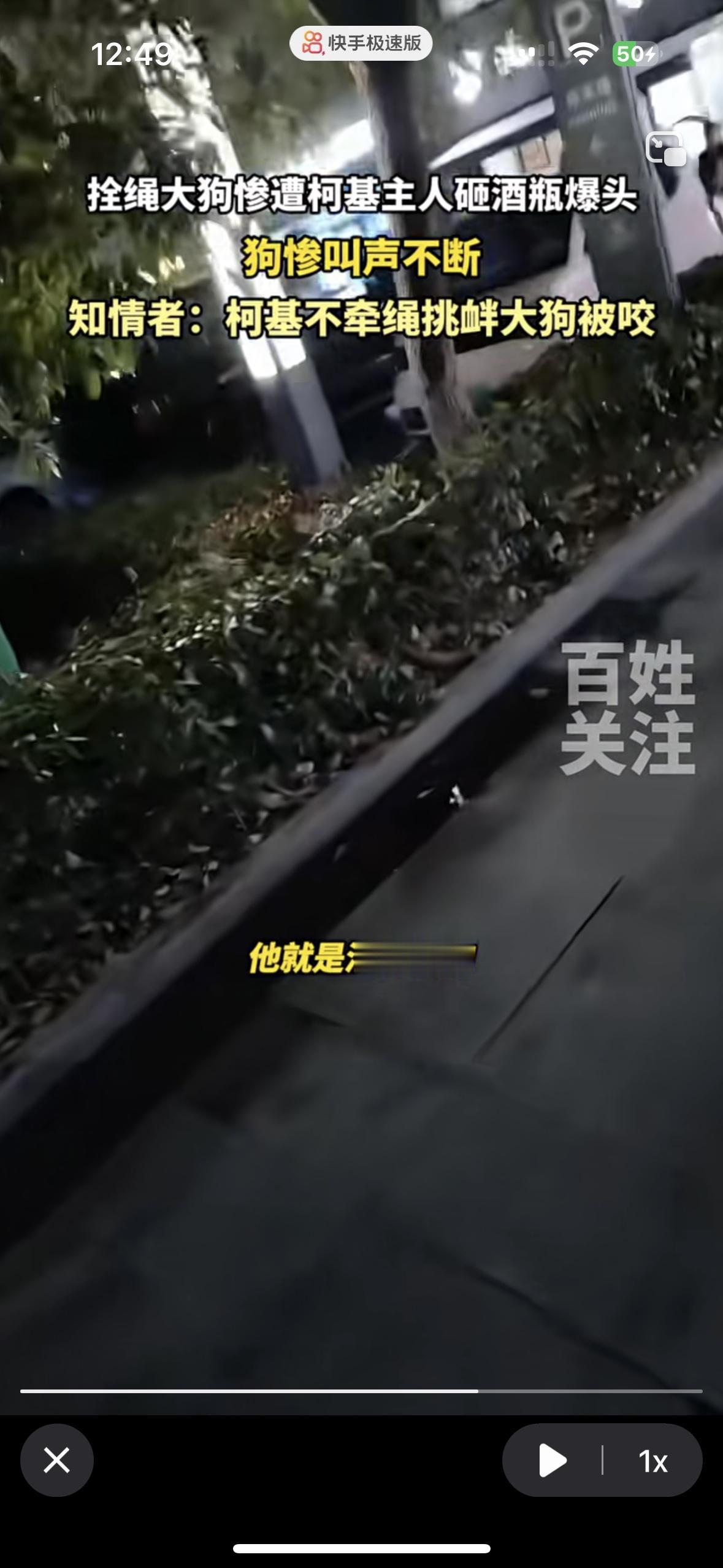 养狗不牵绳，反而打牵绳的狗
看着太心疼了，柯基没有牵绳，主人带它遛弯，柯基挑衅牵