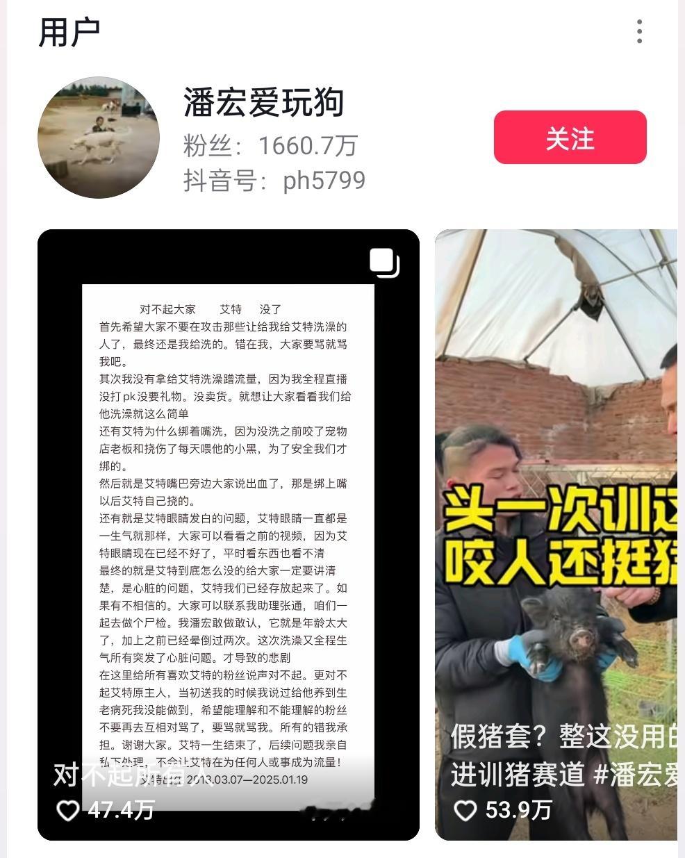 潘宏爱玩狗涉嫌虐狗吗  揭秘潘宏背后文化传媒公司 我去看他的道歉视频，评论区一水