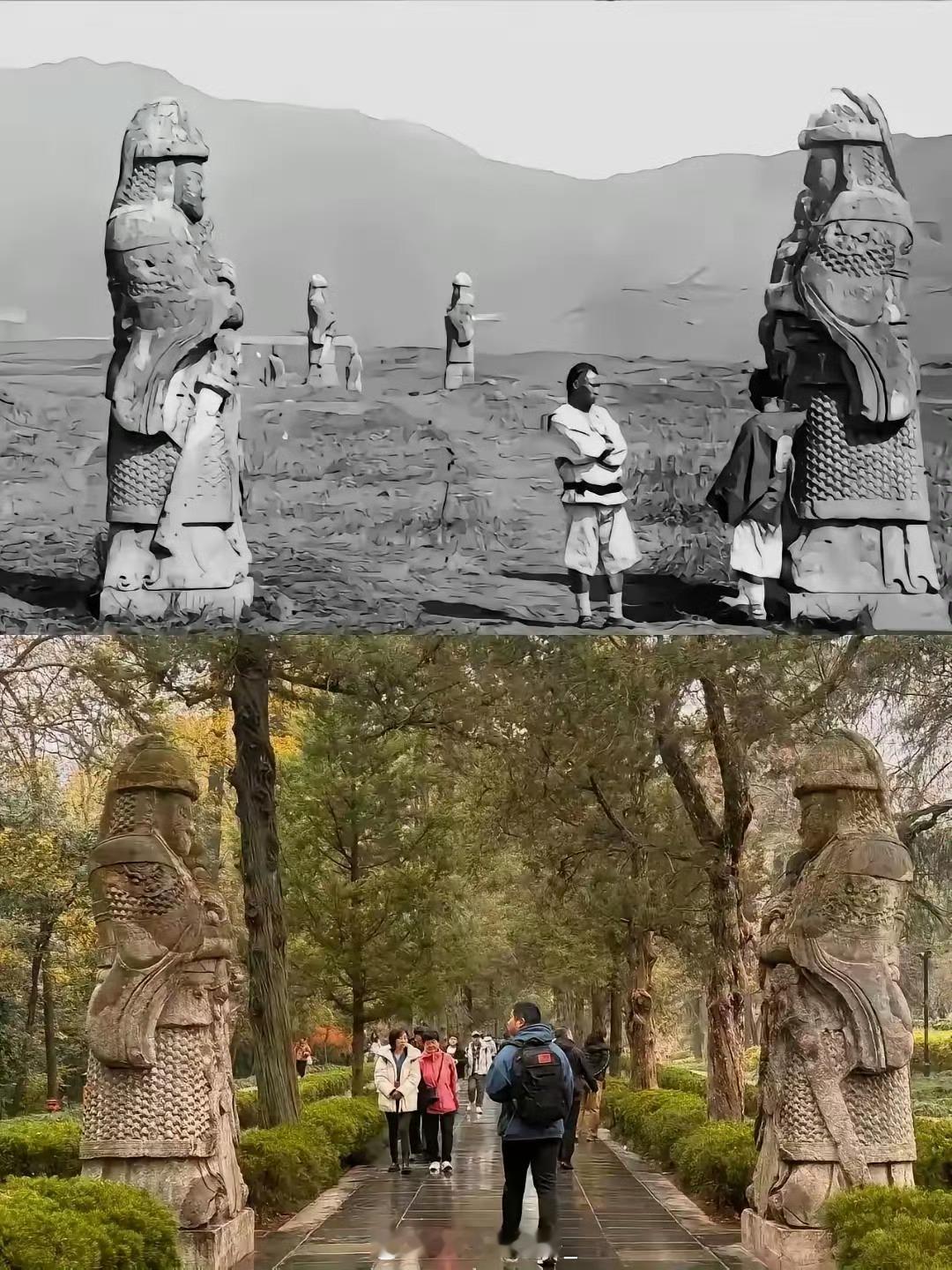 为什么以前人少植被反而更少？ 