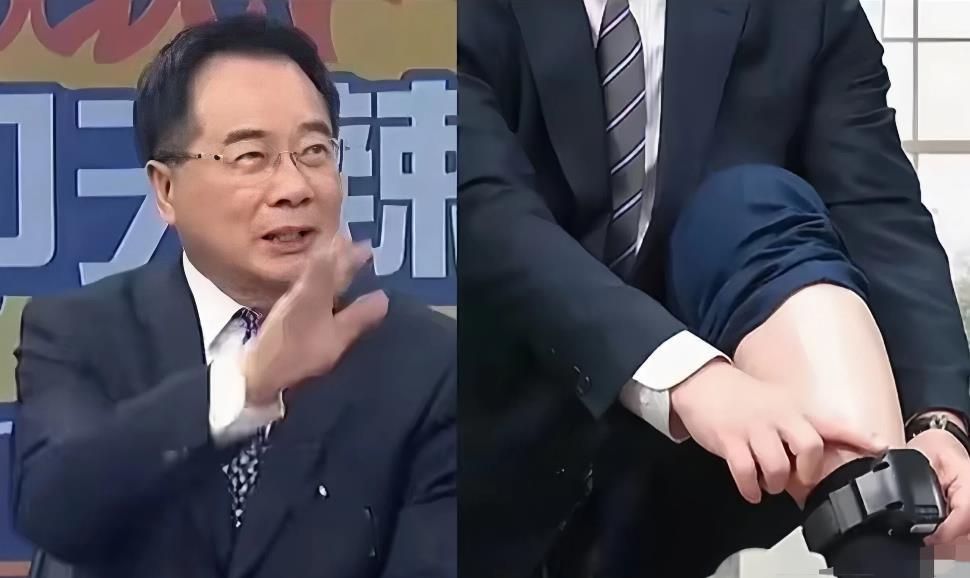 建议对蔡正元、郭正亮、苑举正、赖岳谦等岛内统派人士予以“保护”！这些人虽身处险境