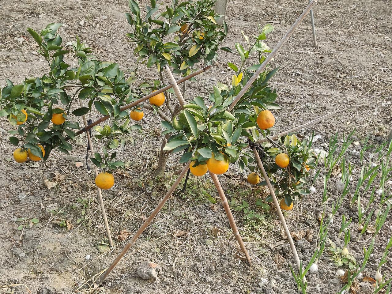 前天发布的作品阅读量600+感觉美滋滋的