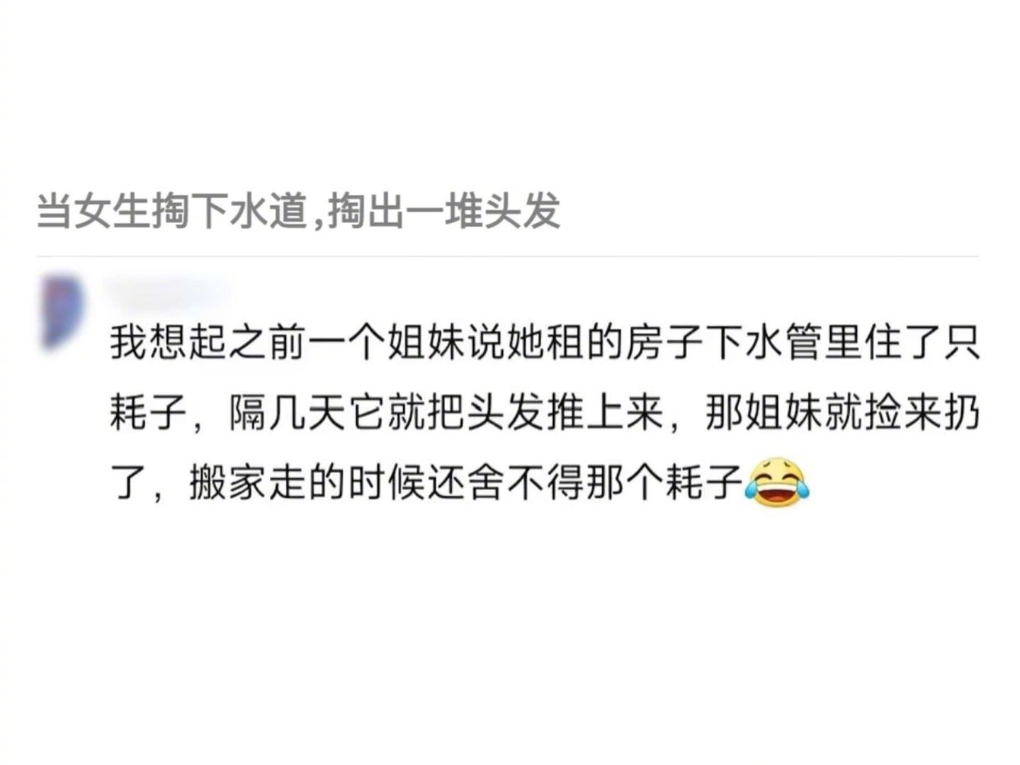 那个耗子：烦死了！人类的头发能不能自己负责清理，每次打扫干净隔几天就掉一堆到我家