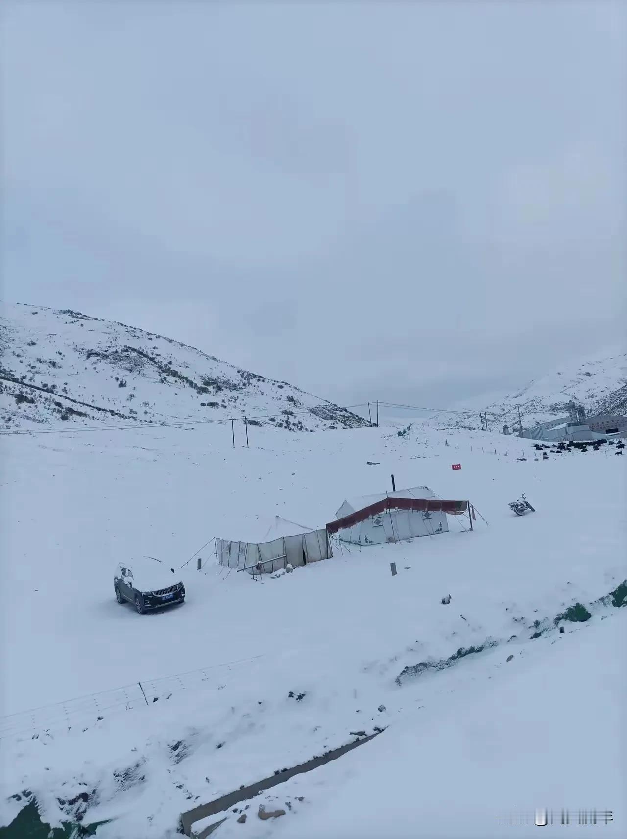 北方的雪景