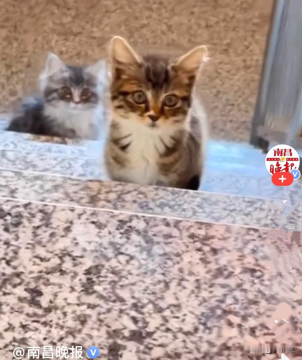 近日，黑龙江绥化一对头一天刚刚结婚的小夫妻，第二天早晨出门一开门就看见楼梯上蹲着