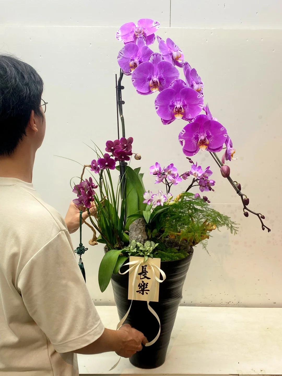 做100款与众不同的龙兰No.3