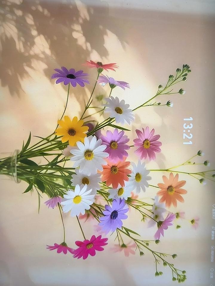 【今日听闻最动人心弦之语，赠予所有女性挚友】
爱己，乃终身浪漫之开端！只要皱纹未