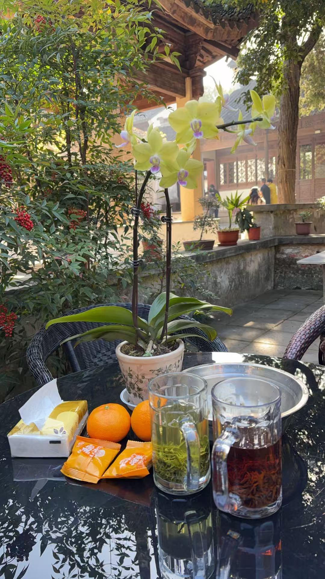 深冬到了，秋天走了
当年乾隆为何要来寄畅园，看看就知道了