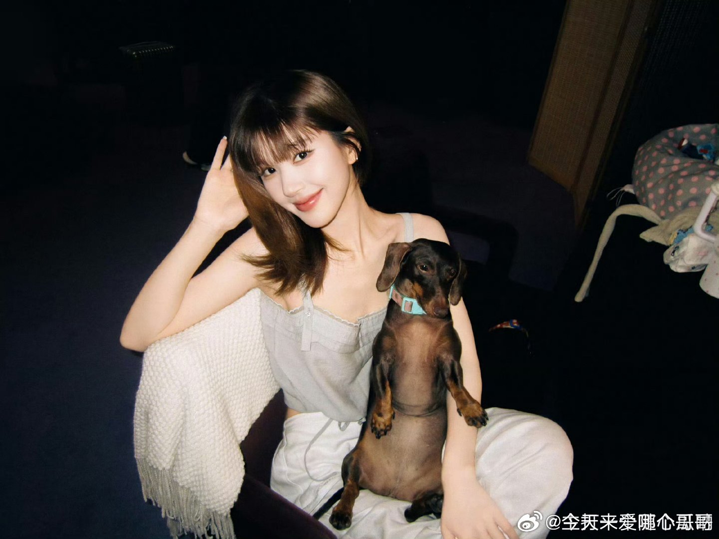 赵露思新图，美女和小狗 好萌 