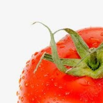 西红柿的种植方法1.土壤选择西红柿喜欢生长在排水良好、肥沃、pH值为6.0-7.