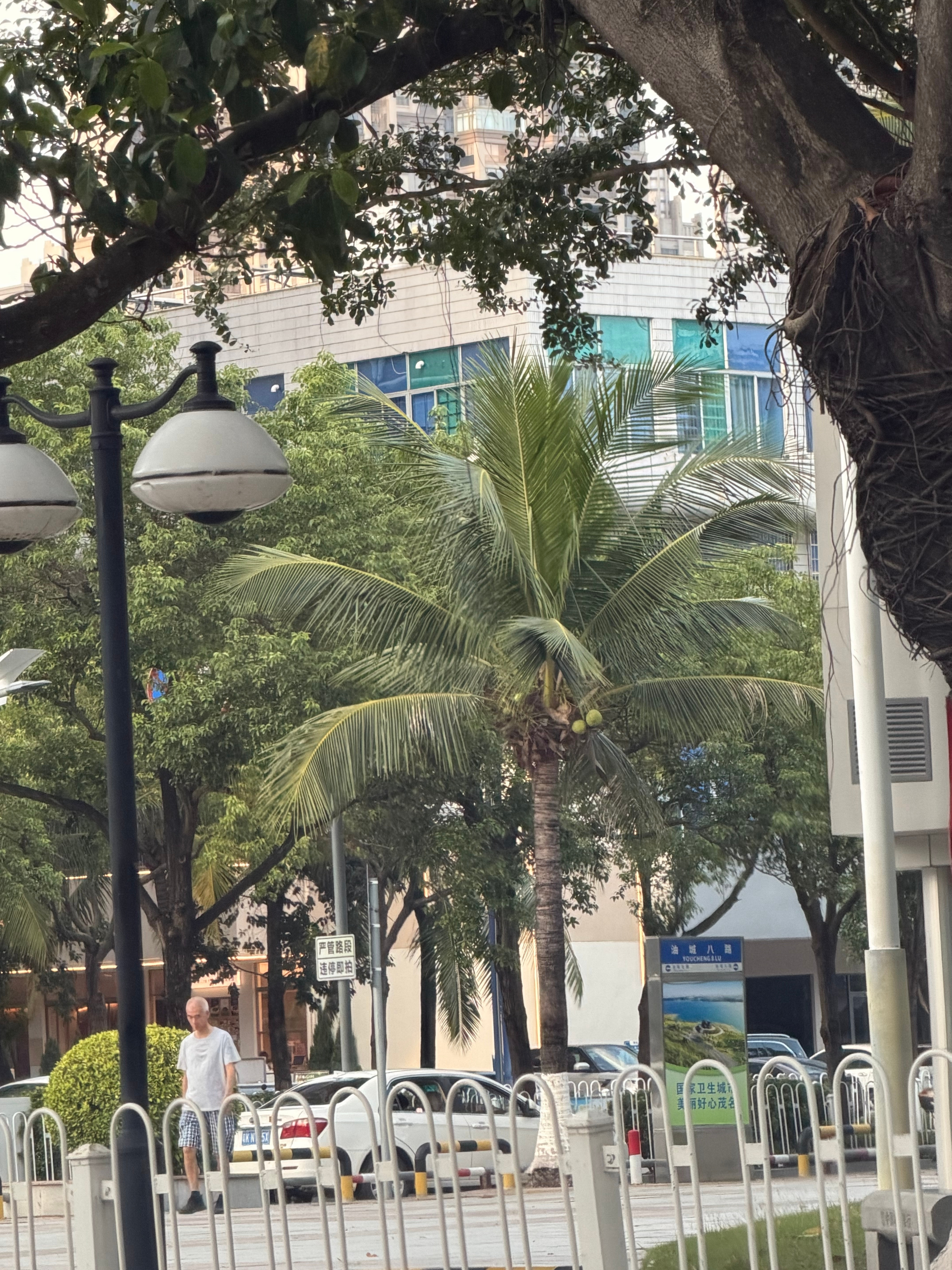 阿苏暗恋熊宝，整天在家叫我扮演他，我只好扮演了。[二哈] ​​​
