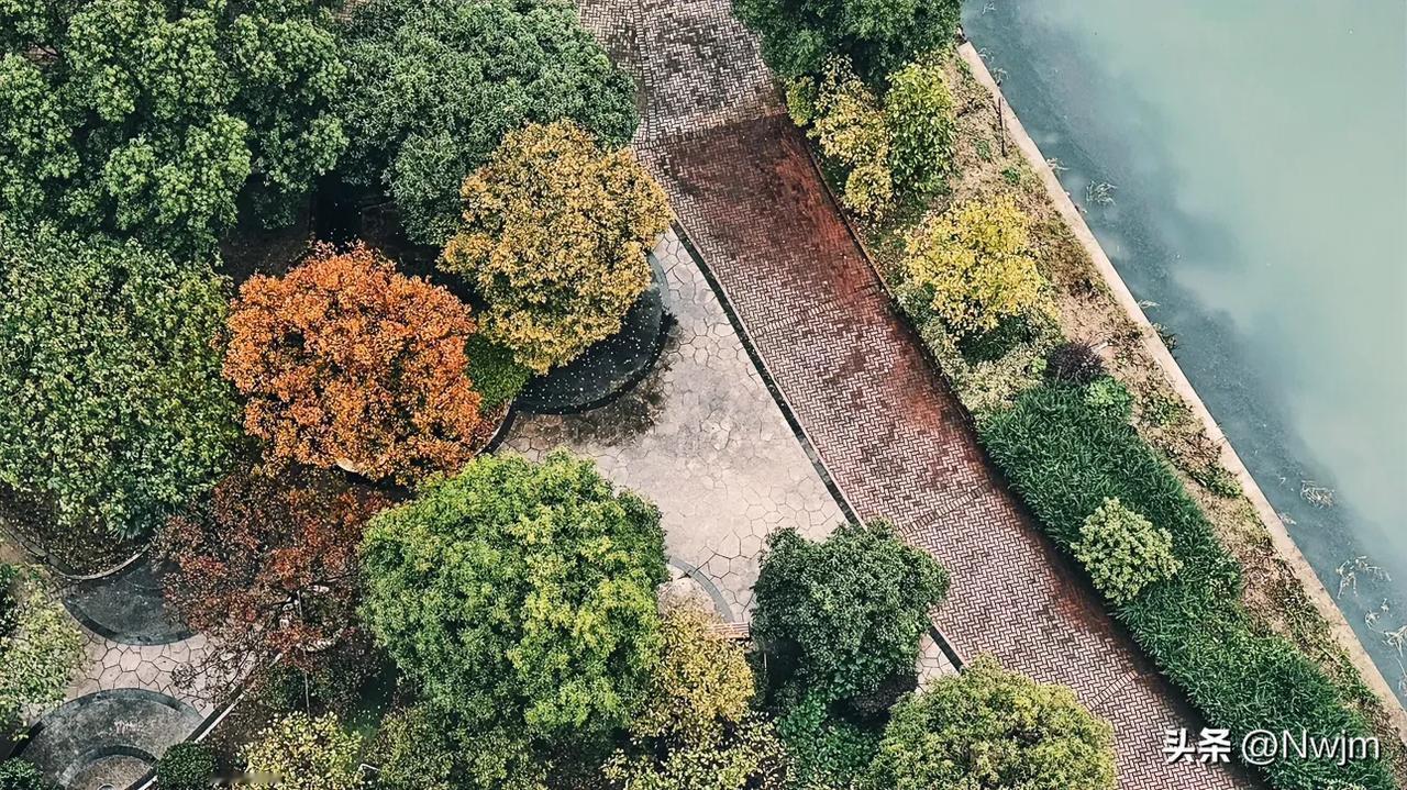 秋雨绵绵～20241125常州，初冬江南秋色浓，早晨推窗见小雨，俯视楼下路面湿润