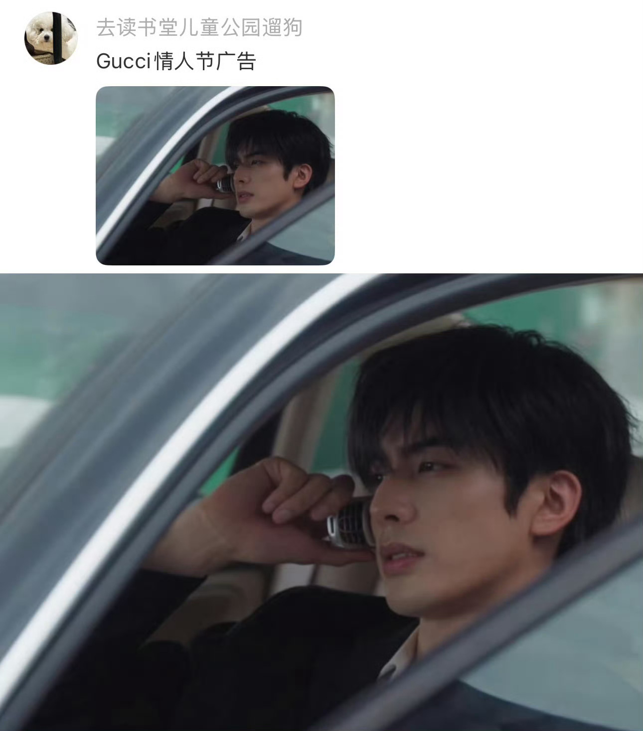 野狗骨头这个槽点无法反驳 