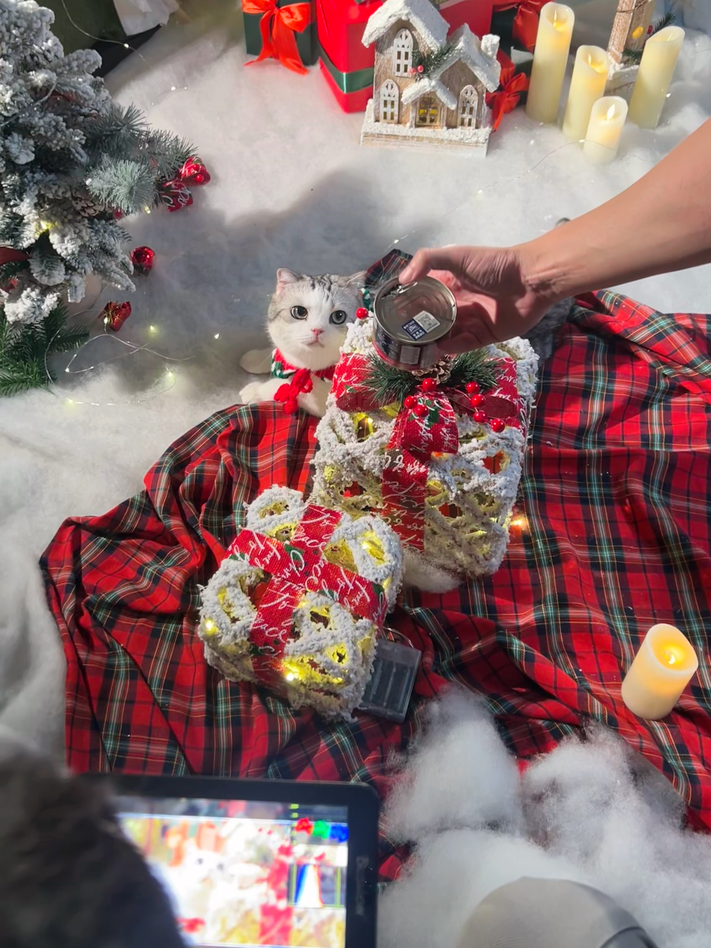 泡芙女明星的日常[哇] ​​​