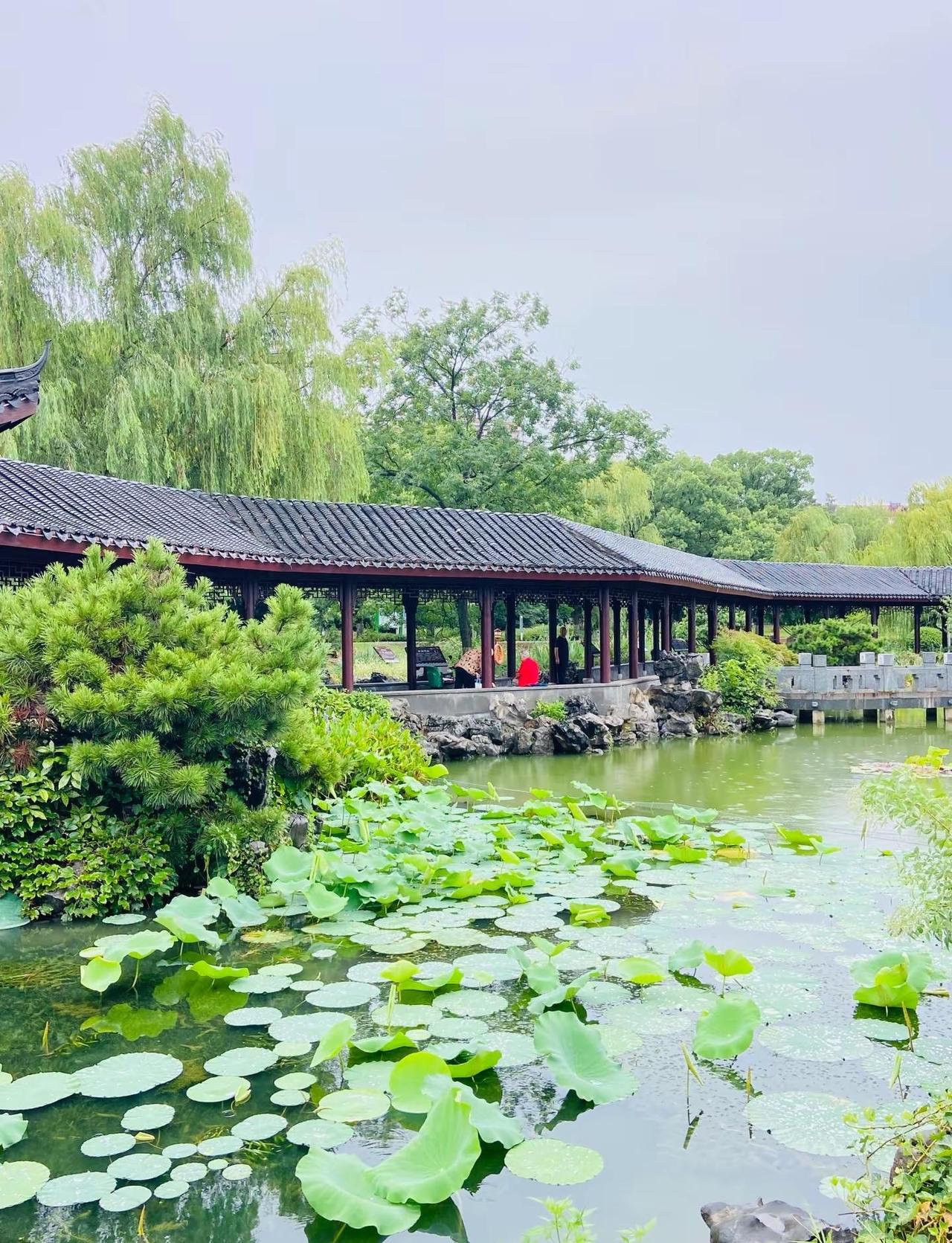 一阵秋雨漫过，便带走夏日的燥热。风里裹着淡淡的草木清香，还有落叶淡淡的微凉，这就