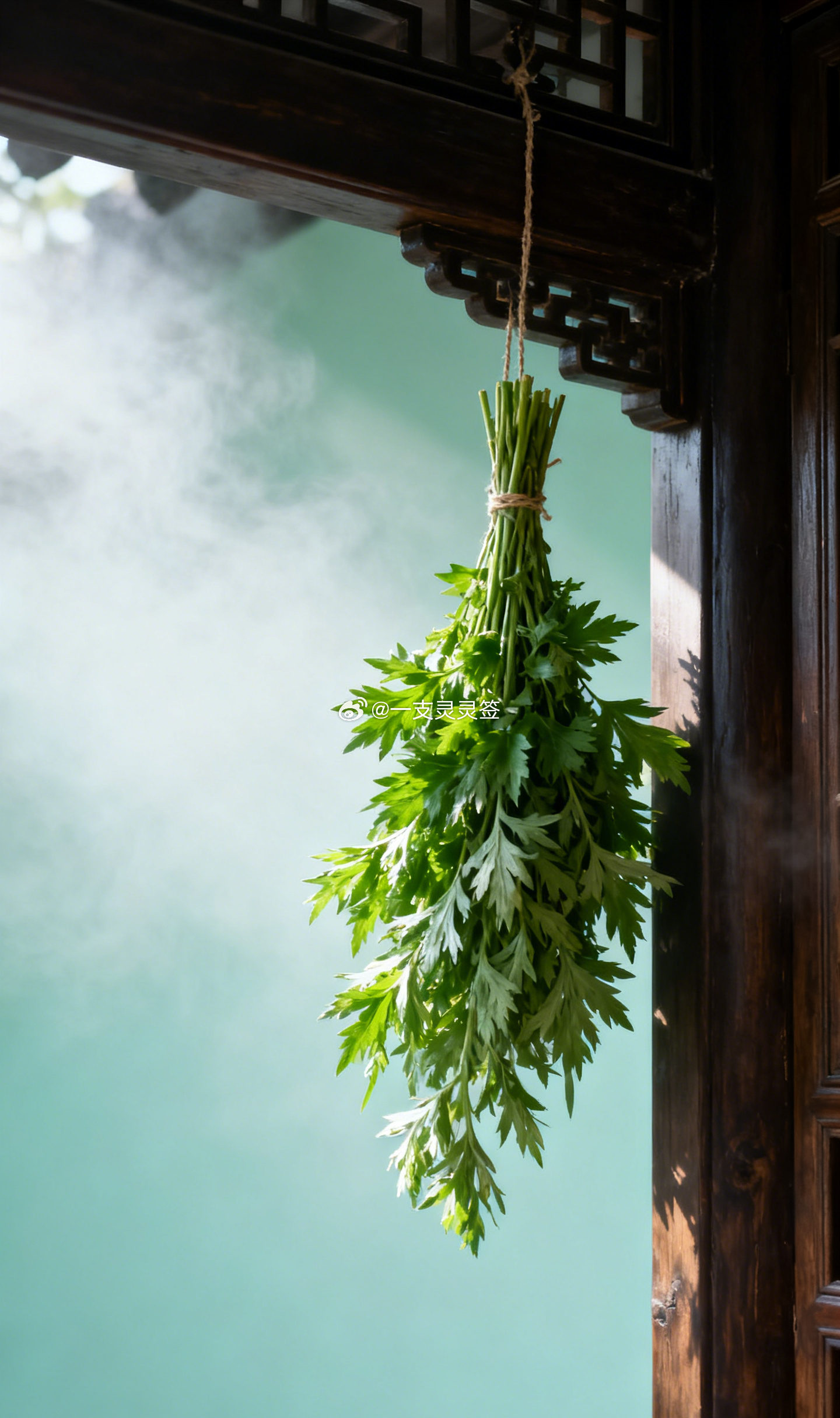 端午挂艾草这个习俗传了两千多年，很多人以为只是图个吉利。其实古人对气味的理解很深