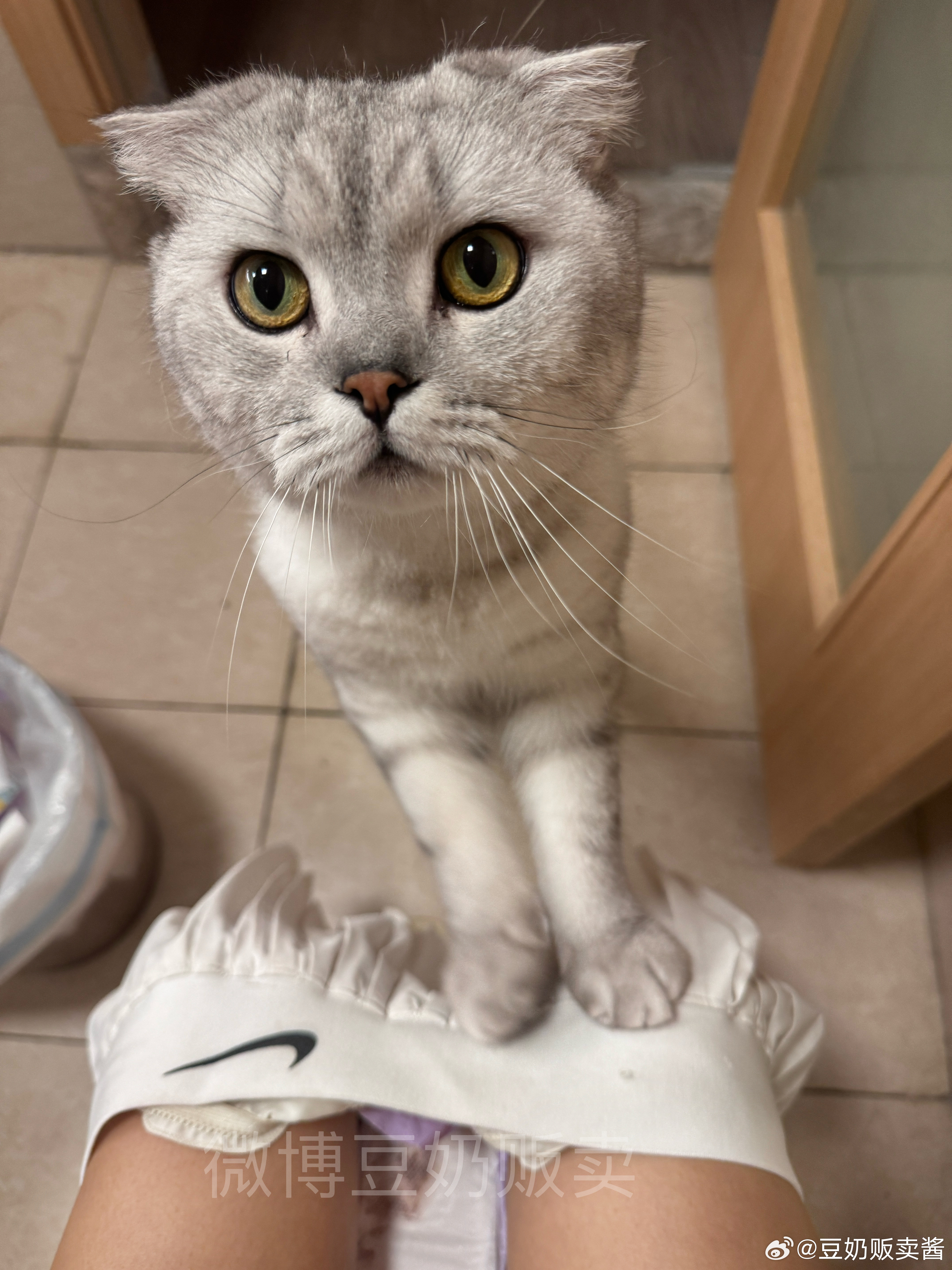 文案写错了刚刚 