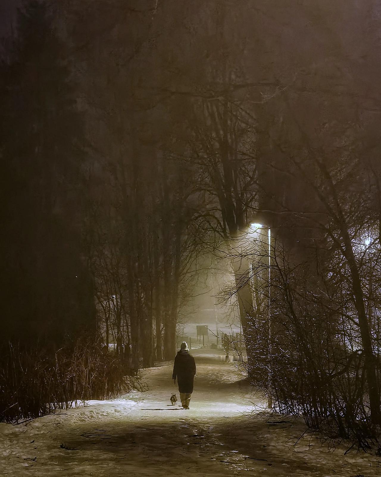 冬日生活打卡季雪夜