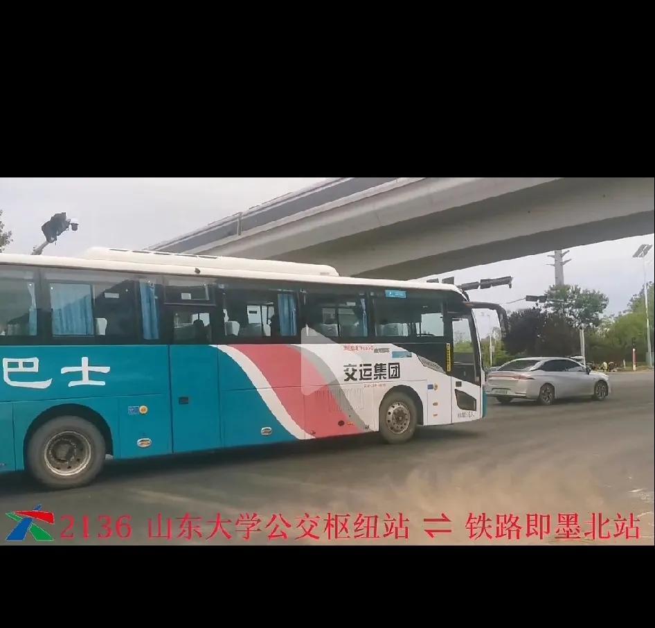 因即墨区蓝谷滨海公园举办蓝谷马拉松活动，2024年11月10日上午5：30-12