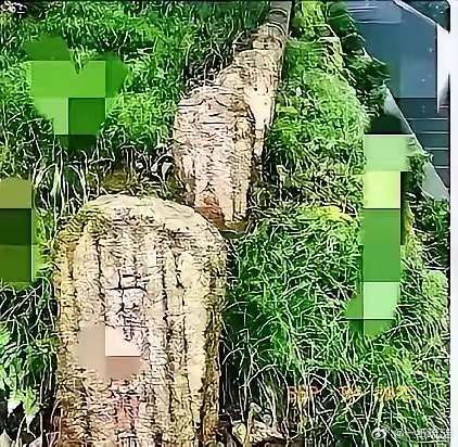 这下好了，腾冲又一次把日本拒绝了。这次是日方想用3.5亿修高速，换回日军将领藏重
