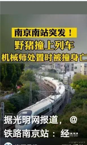 在铁路旁，一场突如其来的悲剧带走了一个年轻的生命。10月27日傍晚，D5518次