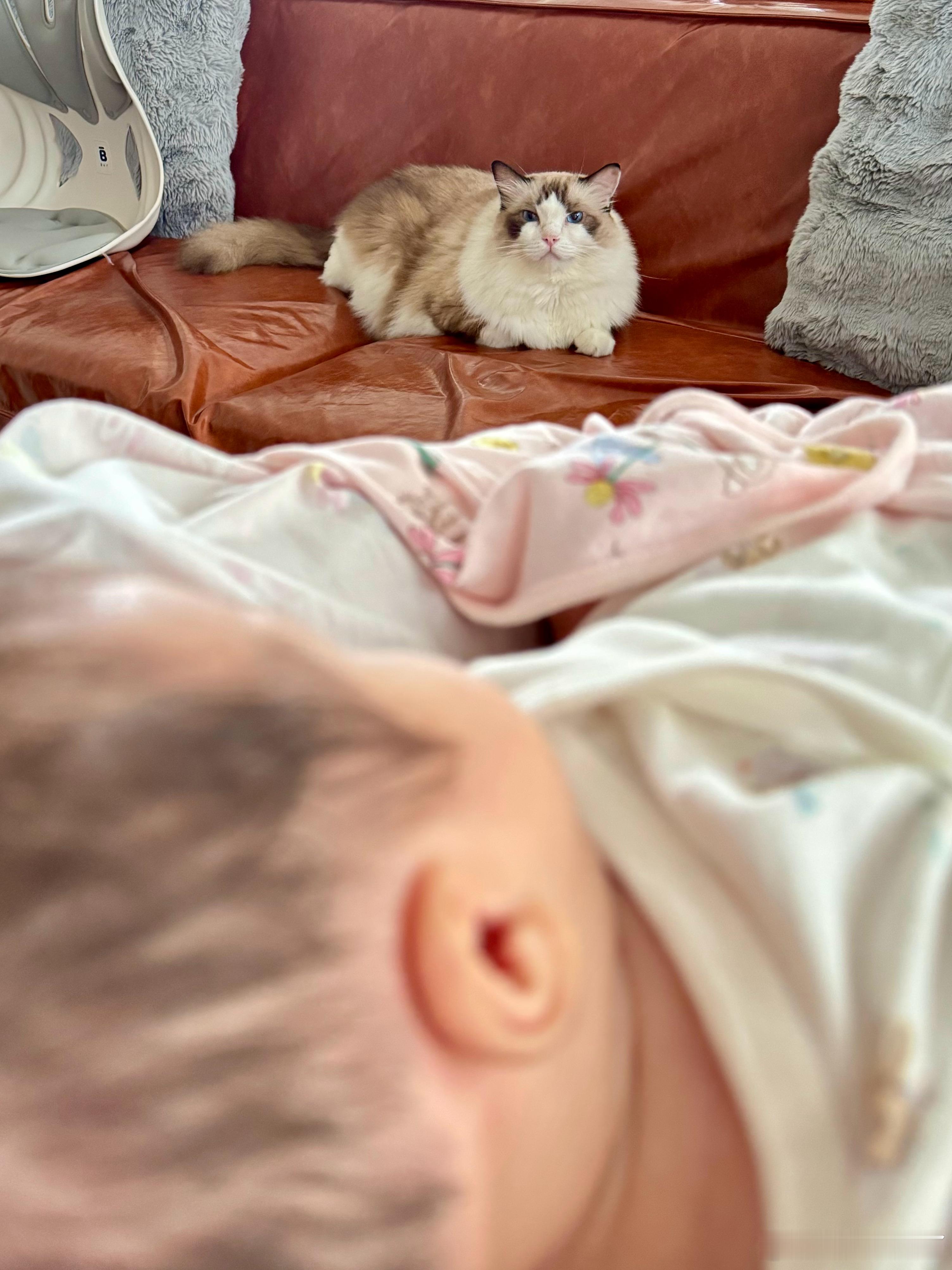 👶🏻🐱《双机位》汤包的煲崽日记 ​​​
