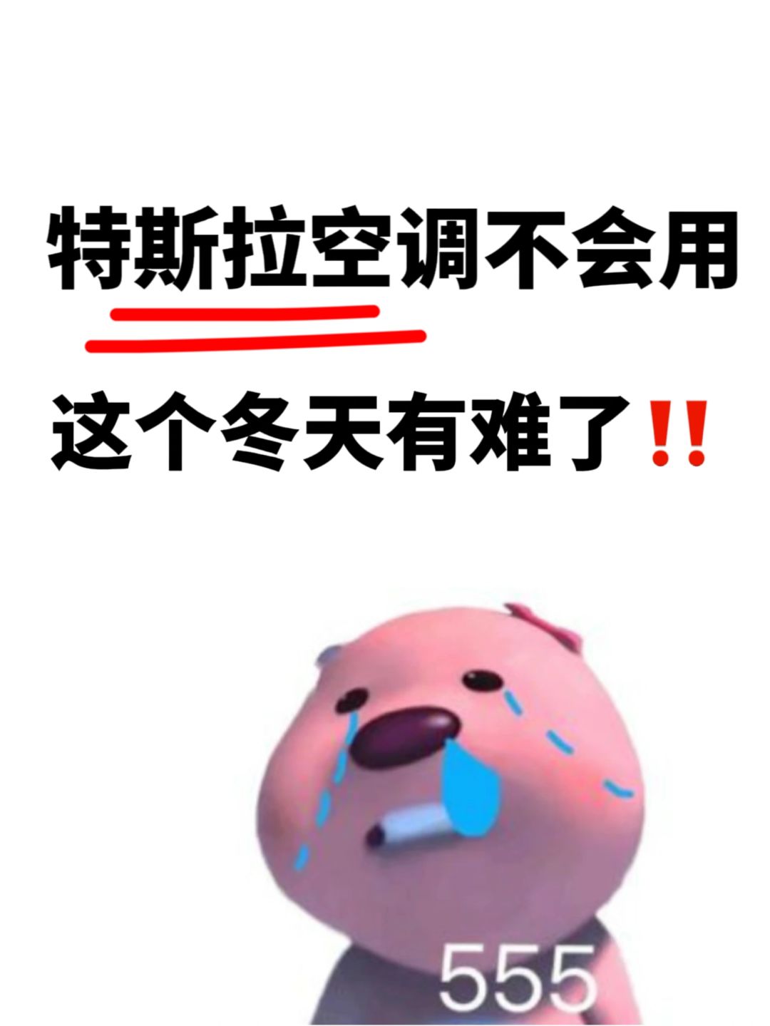 不懂特斯拉空调的‼️这个冬天有难了😭