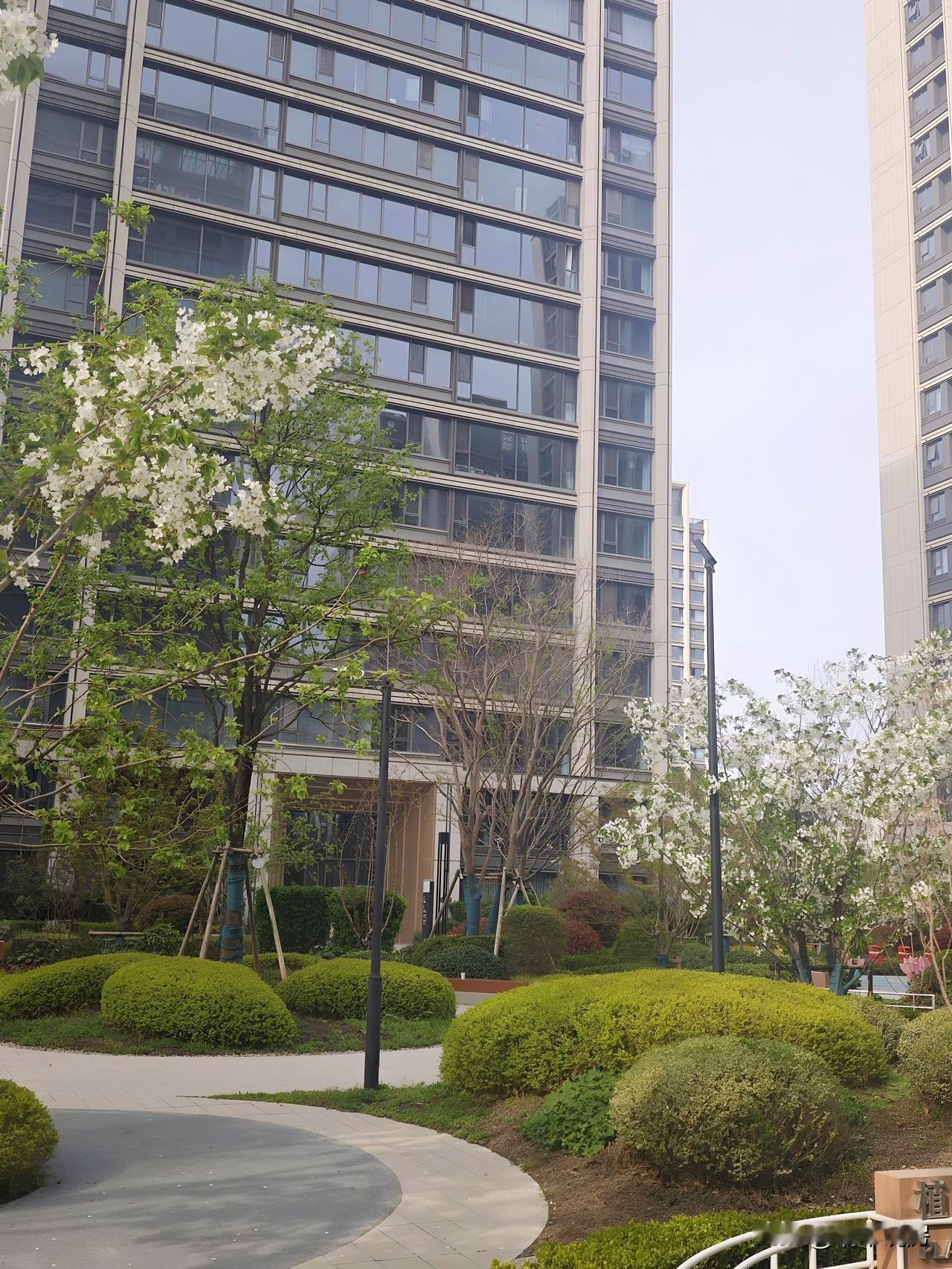 打卡绿城荷风苑，纯改善型小区，最小面积170平米起步，感觉如何呢？西安