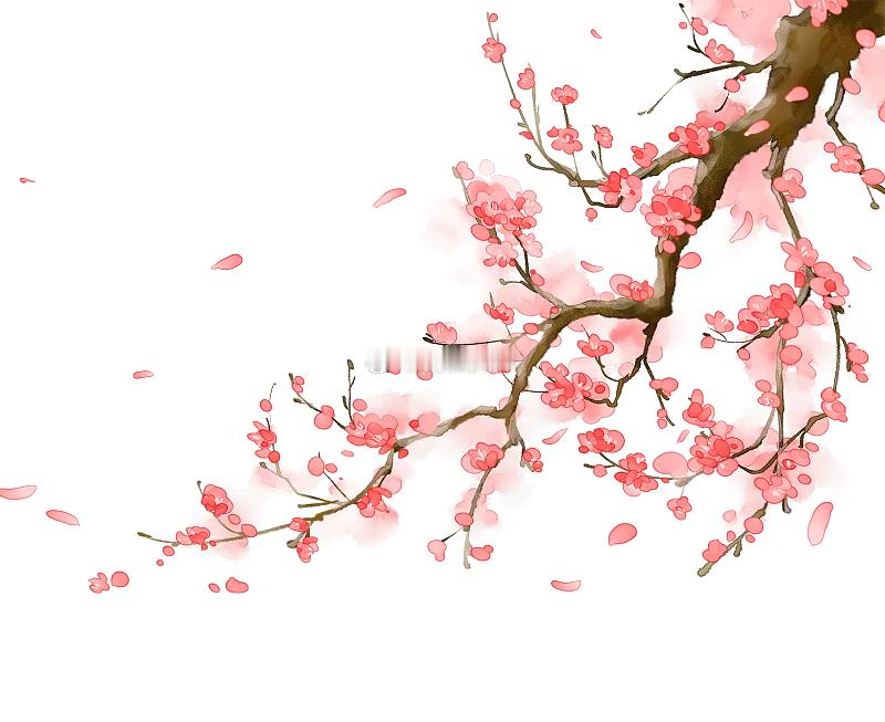 转赞交上桃花运，好合自有天来成#天师祈福# ​​​