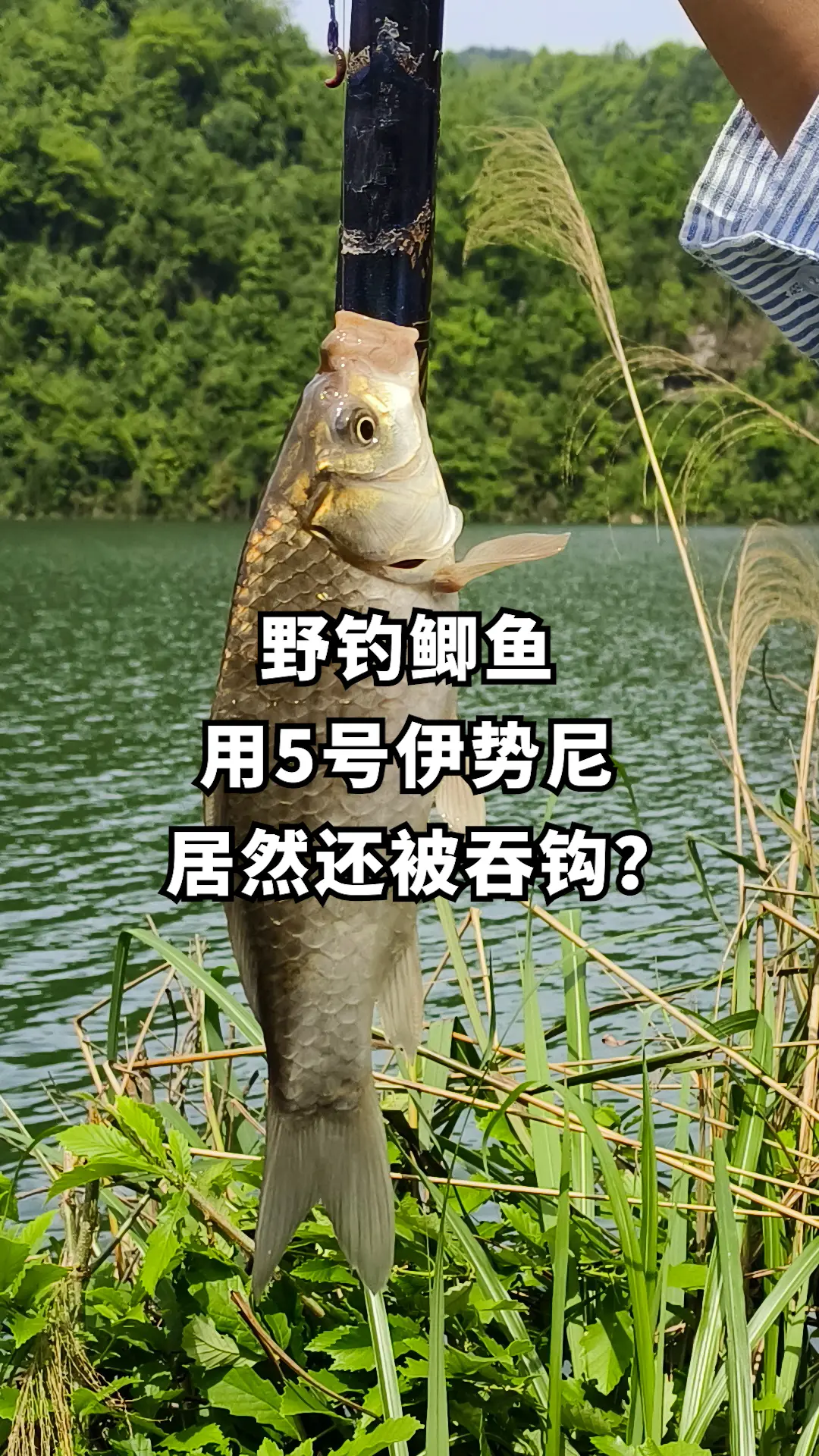 别再用小 啦！