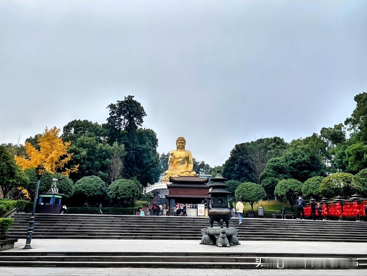 星光随笔今天出门去打麻将，遇到两件舒服的事。

首先是上公交车，温暖的气息迎面扑