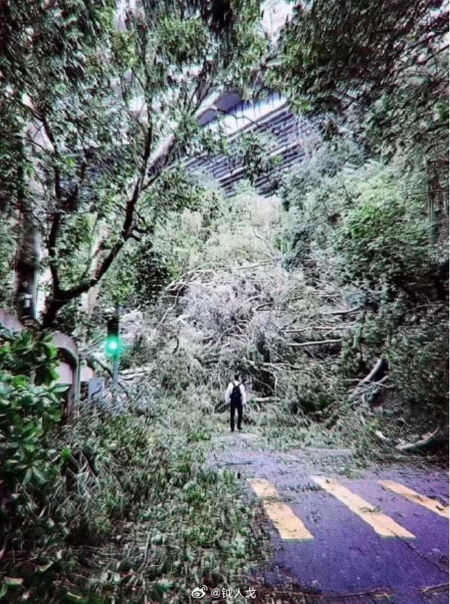 想当年的台风山竹登陆前，已是暴风骤雨，我们还要去上班。上班期间，办公室一扇窗直接
