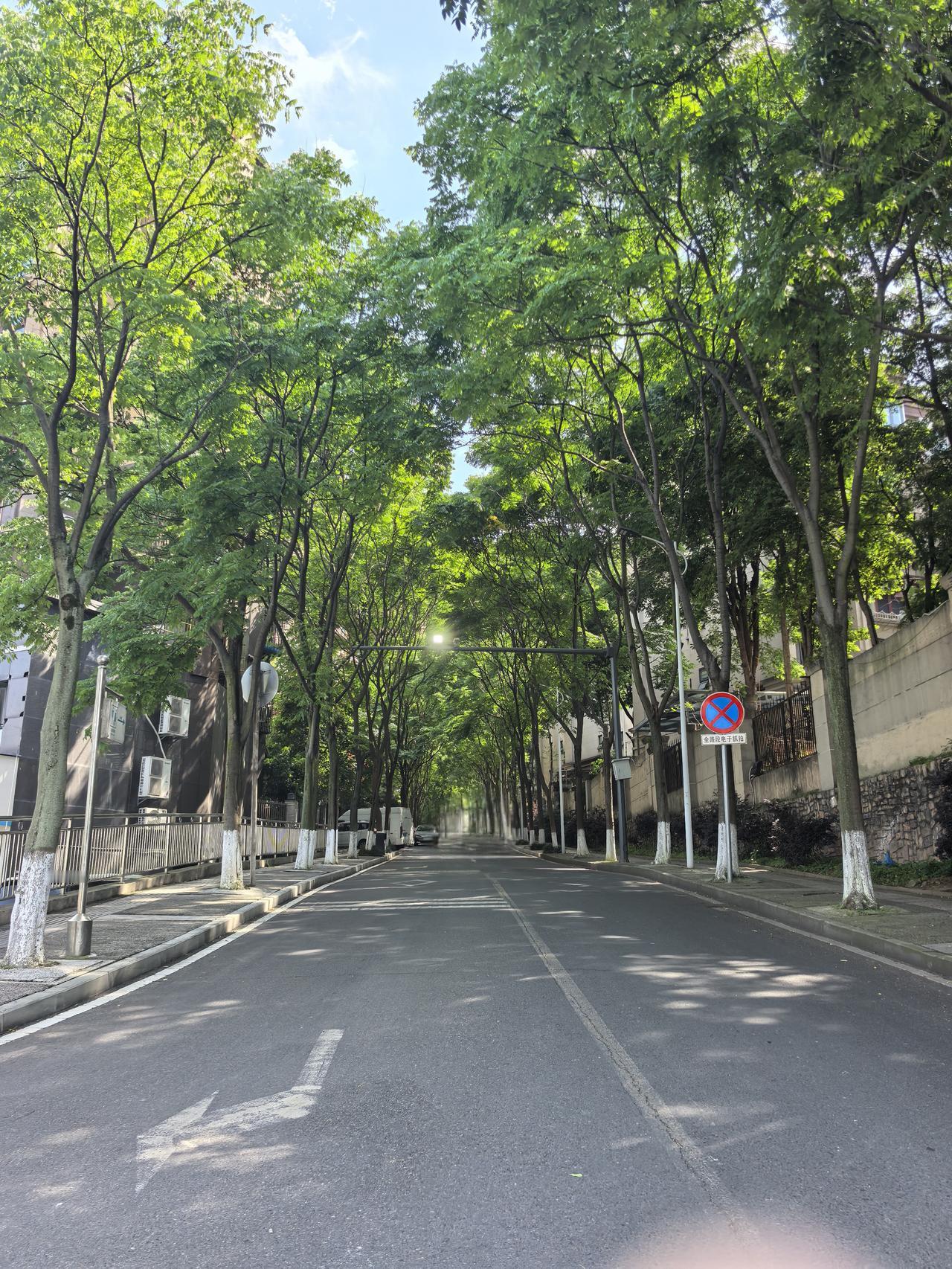 路过这条路，又想起她

文／游明刚

    五月，路过这条街，又想起她，想起我