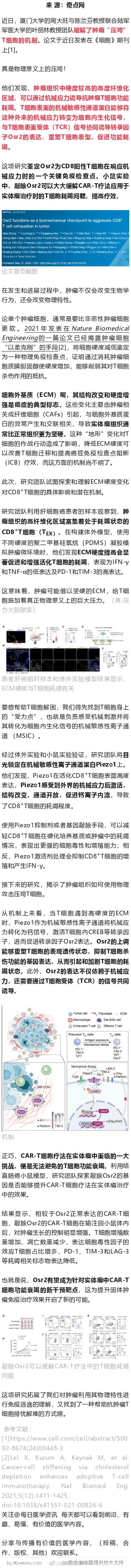 《细胞》：肿瘤竟能“挤碎”T细胞！中国科学家发现全新免疫检查点，可让T细胞在肿瘤