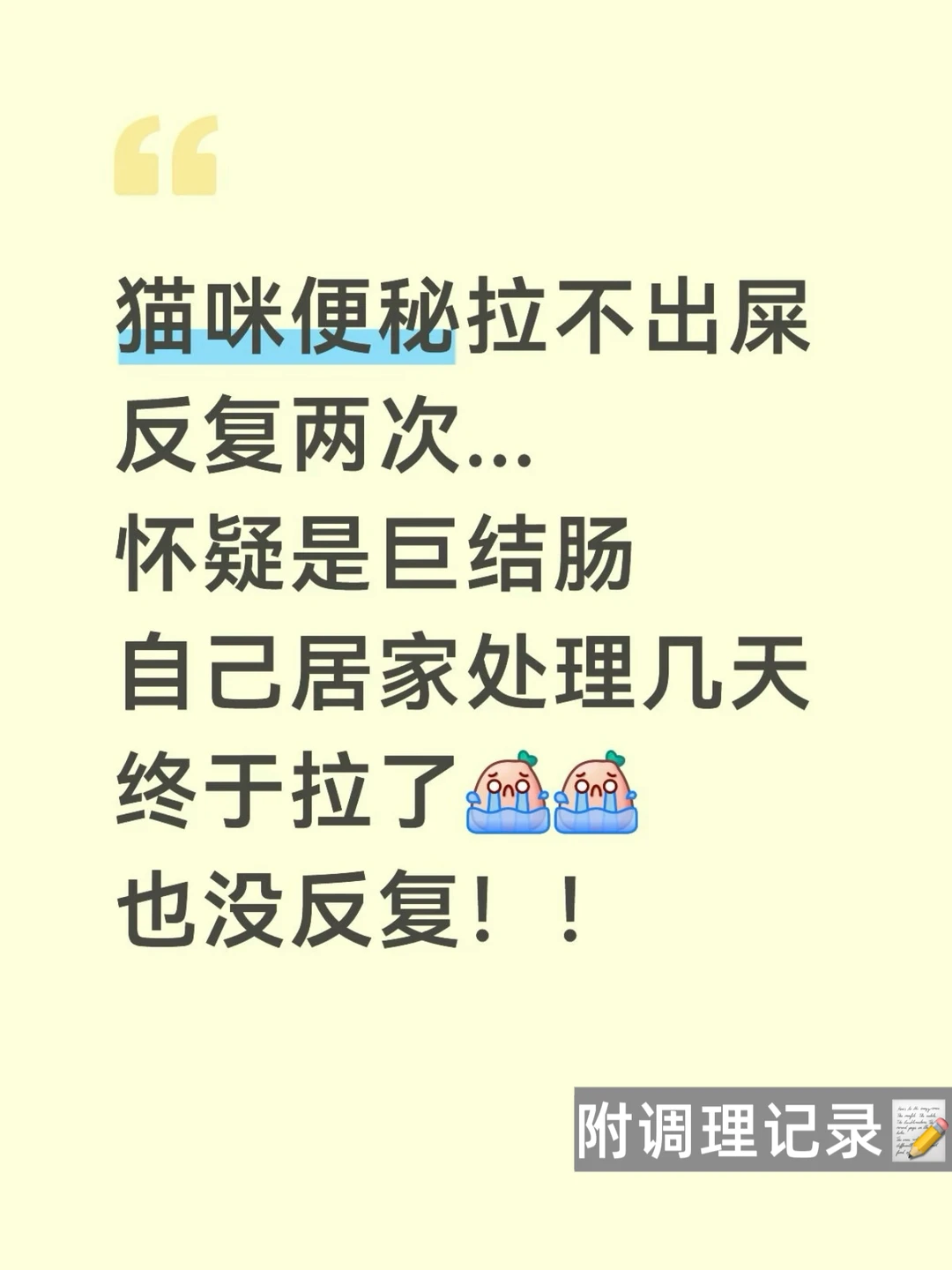 分享下我家猫反复便秘半个月的一些调理经验