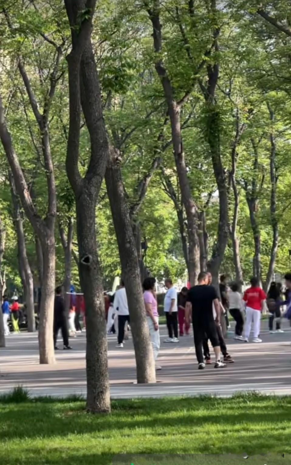 今年春天最想实现的心愿亲爱的朋友，春天来临之际，我想对你说：愿你的每一天都充满阳